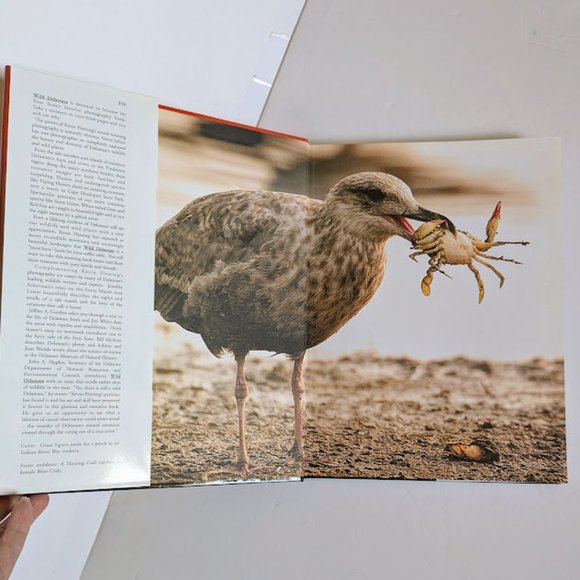 SPECIAL Signed 1st Ed Wild Delaware Kevin Fleming Coffee Table Book 4 Prints PKG - Picture 6 of 16